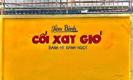 Teen nói gì khi “bức tường vàng huyền thoại” ở Đà Lạt bất ngờ xuất hiện tại Sài Gòn?