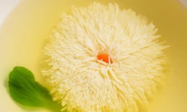 Tranh cãi nguồn gốc video "đại hồng cúc đậu phụ ngàn cánh" trên Tóp Tóp, sự thật là gì?