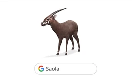 Sao La - động vật quý hiếm bậc nhất của Việt Nam được số hóa trên Google Tìm Kiếm