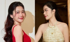 Nam Em làm ngay điều này sau khi bị phạt hành chính 37,5 triệu đồng