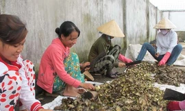 Thu tiền tỉ từ đồ bỏ đi