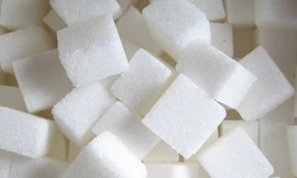 Cấp hạn ngạch nhập khẩu đường cho 24 doanh nghiệp