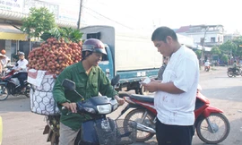 Thương nhân Trung Quốc đổ xô về Lục Ngạn mua vải thiều