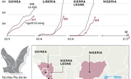 [ĐỒ HỌA] Đại dịch bệnh Ebola bùng phát ở Tây Phi