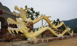 Linh vật rồng ăn kiêng, gầy gò nhưng có võ