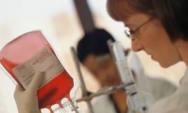 An toàn truyền máu trên thế giới năm 2011