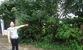 Quan hối lộ dân!?