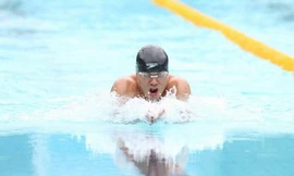 'Hoàng tử ếch' Hữu Việt và nỗ lực cuối cùng