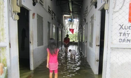 Ai chịu trách nhiệm vỡ bờ bao?