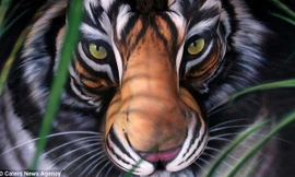 Ấn tượng tranh 3D trên… cơ thể nude