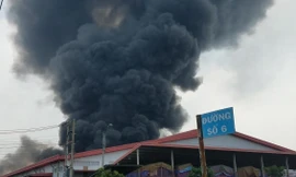 Bản tin 8H: Phát hiện bộ xương cháy đen tại khu công nghiệp ở Long An