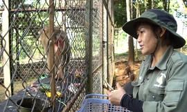 Nghe chuyện chăm thú hoang dã ở Bù Gia Mập