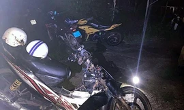 Tông trúng bò thả rông trên đường, nam thanh niên tử vong