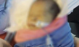 Bé gái sơ sinh bị bỏ rơi trong rừng ở Quảng Nam không qua khỏi