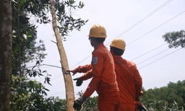 Khẩn trương xử lý việc mất điện thường xuyên ở các huyện miền núi Quảng Nam