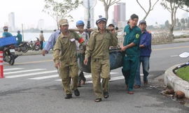 Các lực lượng chức năng các địa phương ven biển Đà Nẵng hỗ trợ dân di dời tàu, thuyền nhỏ lên bờ tránh bão số 13. Ảnh: Nguyễn Thành