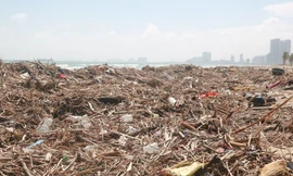 Kinh hãi với những núi rác khổng lồ trên bãi biển Đà Nẵng sau bão