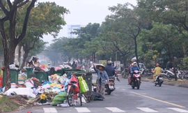 Nhiều khu dân cư ở Đà Nẵng rác tràn ngập những ngày sát Tết