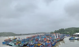  Tàu cá của ngư dân Quảng Ngãi vào bờ tránh trú bão số 9. Ảnh: Nguyễn Ngọc