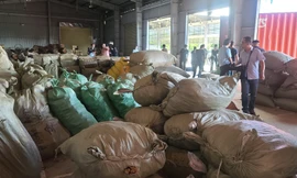 Một phần hàng nằm trong các container được lực lượng chức năng kiểm đếm. Ảnh: H.Q