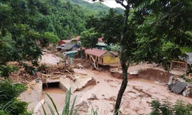 Ảnh minh họa: Internet