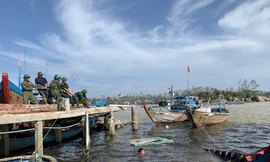 Ảnh: Nguyễn Ngọc