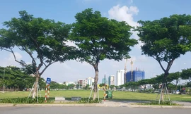 Lô đất A20 (quận Sơn Trà, TP Đà Nẵng) liên quan đến vụ kiện giữa Cty CP Vipico và UBND TP Đà Nẵng. 