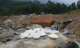 Nóc ông Đề ở Trà Leng sau 2 tháng đào xới tìm người mất tích, bây giờ ra sao?