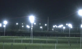 Đèn bẫy bướm trên 'thủ phủ' hành tím ở Lý Sơn sáng rực như sao trời về đêm