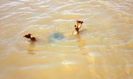 Rủ nhau tắm hồ, hai em học sinh lớp 5 ở Quảng Ngãi đuối nước thương tâm (Ảnh minh họa). 