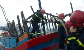 Ước tính thiệt hại gần 4 tỷ đồng. Ảnh: M.Đ