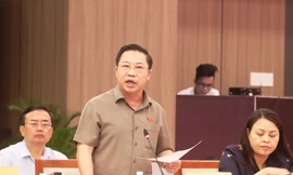 Ông Lưu Bình Nhưỡng phát biểu tại phiên họp. Ảnh: Nguyễn Thành