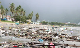 Bãi biển Đà Nẵng ngập rác sau bão