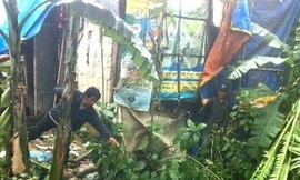 Giúp cha lợp mái nhà sau bão, bé gái 14 tuổi ngã chết