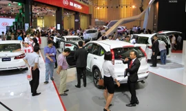 Ảnh minh họa. Nguồn: Tuấn Nguyễn