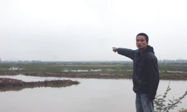 Đầm nuôi trồng của ông Lê Đình Thảo, sau 3 năm để không, đã được huyện Tiên Lãng cho người khác thuê