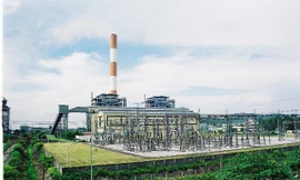 Tổng giám đốc Nhiệt điện Phả Lại thôi chức