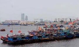 10 Luật sẽ có hiệu lực thi hành kể từ ngày 1-1-2013