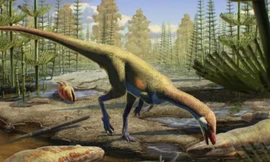 Ahvaytum bahndooiveche có kích thước chỉ bằng con gà. Ảnh: Gabriel Ugueto