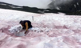 Hiện tượng máu sông băng là lời cảnh báo đáng sợ về biến đổi khí hậu.