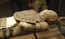 Chụp CT và X-quang đã cho phép các nhà nghiên cứu xác định rằng xác ướp Bashiri từng là một người đàn ông.