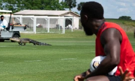 Clip cá sấu khổng lồ bò lổm ngổm chiếm sân tập khiến các cầu thủ 'hết hồn'