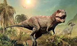 Nghiên cứu mới phát hiện sự thật bất ngờ về khủng long bạo chúa