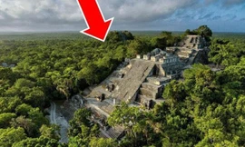 Phát hiện manh mối quan trọng về sự sụp đổ của nền văn minh Maya qua mẫu vật đặc biệt