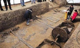 Xe ủi vô tình làm lộ ngôi mộ có 600 chiến mã bị chém khiến nhiều người sửng sốt. 