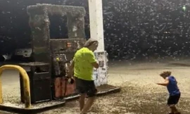 Clip kinh khủng đàn ruồi hàng triệu con 'tấn công' trạm xăng, dân tình sốc, hoảng hốt