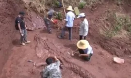 Trung Quốc mới phát hiện hóa thạch khủng long khổng lồ.
