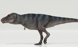 Khủng long bạo chúa T-Rex được cho là đi chậm hơn con người