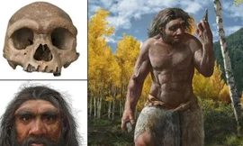 Bí ẩn hộp sọ cổ đại kỳ lạ phát hiện ở Trung Quốc được giải mã sau gần 100 năm