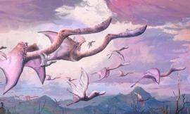 Pterosaurs được cho là có thể cất cánh ngay sau khi nở.